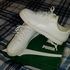 Pumas